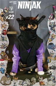 Ninjak #22