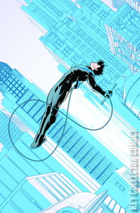 Nightwing #120