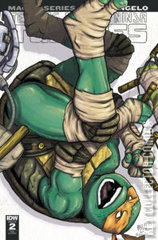 Variant Cover for Teenage Mutant Ninja Turtles Macro-Series #2
