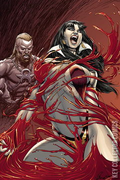 Variant Cover for Vengeance of Vampirella #3