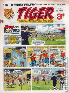 Tiger #27