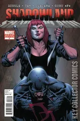 Variant Cover for Shadowland #4