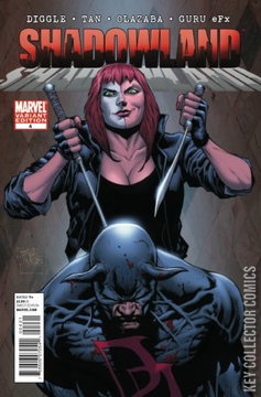 Variant Cover for Shadowland #4