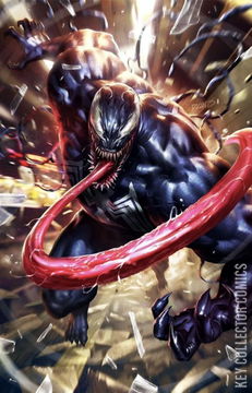 Variant Cover for Venom #21