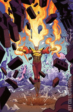 Variant Cover for Fury of Firestorm #1