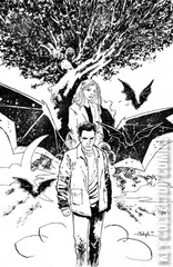 Variant Cover for Angel and Spike #14