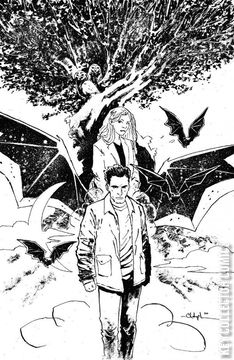 Variant Cover for Angel and Spike #14