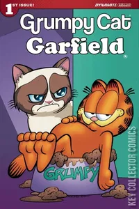 Grumpy Cat / Garfield #1