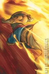 Variant Cover for Street Fighter #14