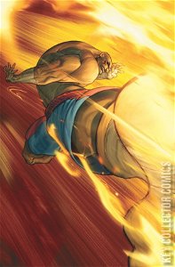 Street Fighter #14