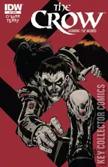 Cover for The Crow: Skinning the Wolves #2