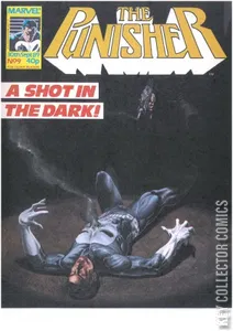 Punisher #9