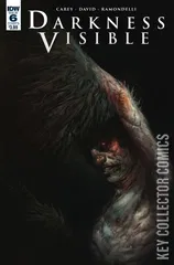 Cover for Darkness Visible #6