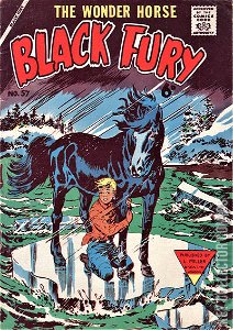 Black Fury #57