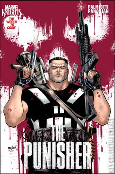 Variant Cover for Marvel Knights: Punisher #1
