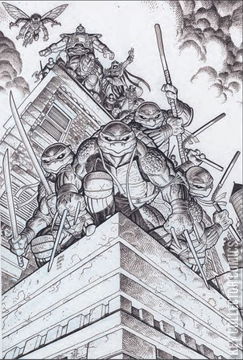 Variant Cover for Teenage Mutant Ninja Turtles: Boxed Set - Torpedo Comics