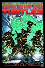 Cover for Teenage Mutant Ninja Turtles: Color Classics #4