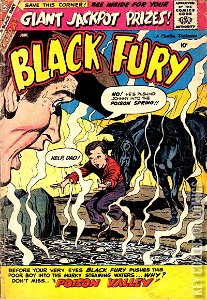 Black Fury #19