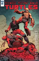 Cover for Teenage Mutant Ninja Turtles #87