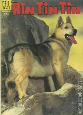Rin Tin Tin