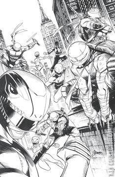 Variant Cover for Mighty Morphin Power Rangers / Teenage Mutant Ninja Turtles #5