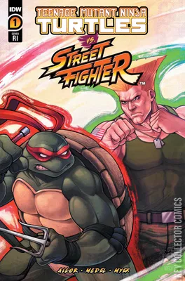 Teenage Mutant Ninja Turtles vs. Street Fighter