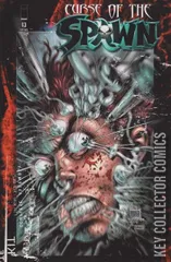 Cover for Curse of the Spawn #13