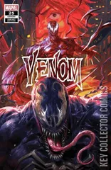 Variant Cover for Venom #25
