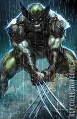 Variant Cover for Wolverine #22