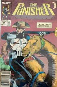 Punisher #19