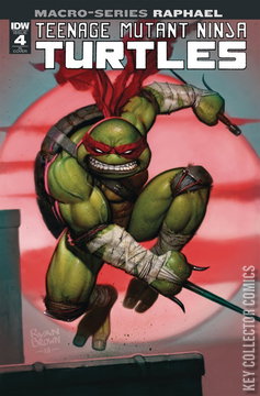 Variant Cover for Teenage Mutant Ninja Turtles Macro-Series #4