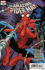 Variant Cover for Amazing Spider-Man #24