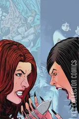 Variant Cover for Vampirella / Red Sonja #8