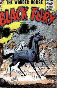 Black Fury #5