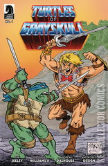 Variant Cover for Turtles of Grayskull #1