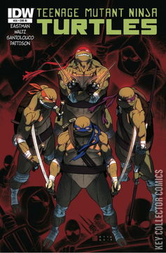 Variant Cover for Teenage Mutant Ninja Turtles #26