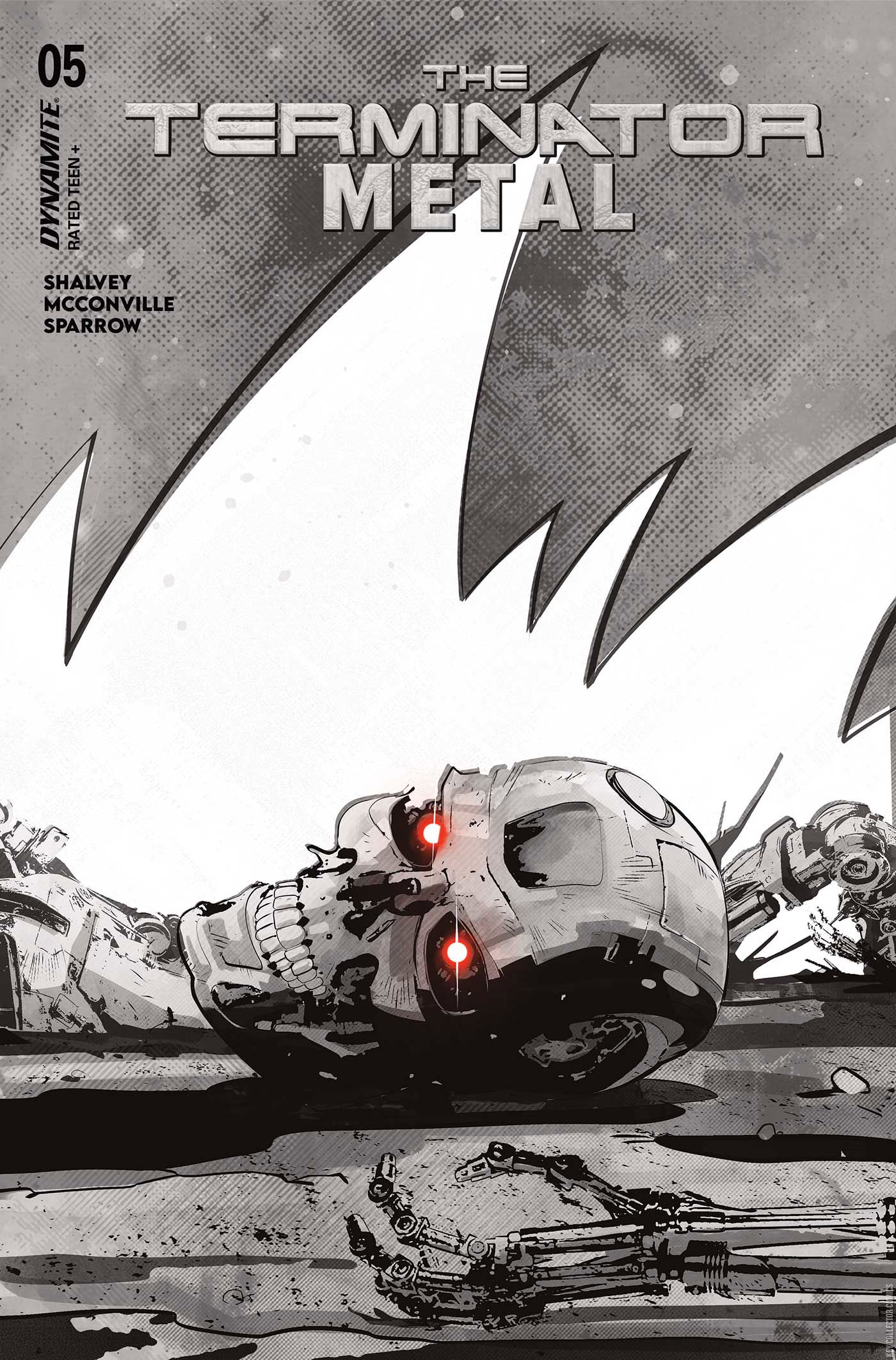 Variant Cover for Terminator: Metal, The #5