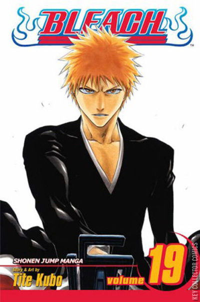 Cover art for Bleach #19