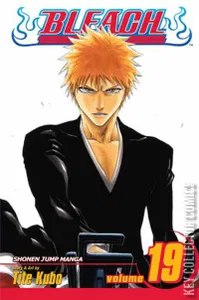 Bleach #19