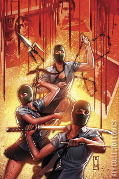 Variant Cover for The Ninjettes #3