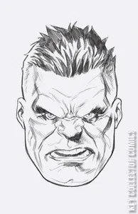 Incredible Hulk, The #10