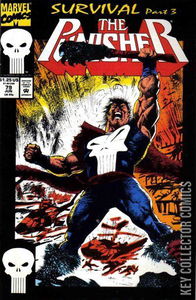 Punisher #79