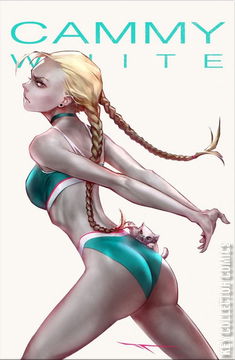 Variant Cover for Street Fighter Swimsuit Special 2022 #1
