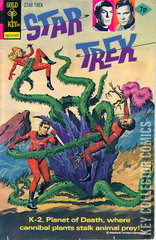 Variant Cover for Star Trek #29