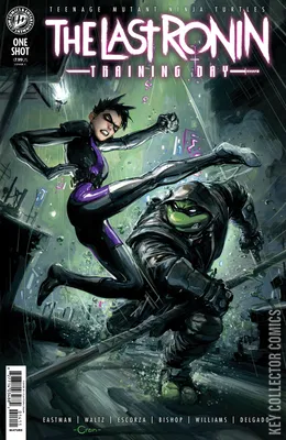 Teenage Mutant Ninja Turtles: The Last Ronin Training Day