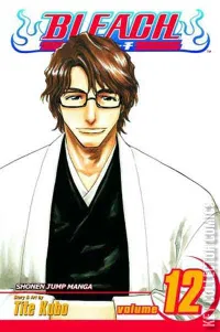 Bleach #12