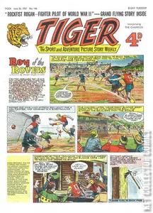 Tiger #146
