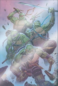 Teenage Mutant Ninja Turtles: Boxed Set - Torpedo Comics #0