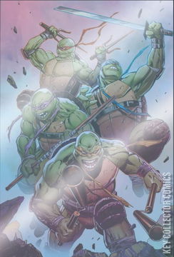 Variant Cover for Teenage Mutant Ninja Turtles: Boxed Set - Torpedo Comics