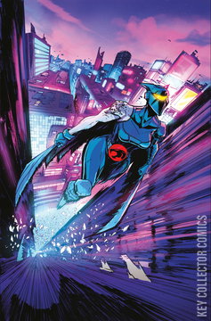 Variant Cover for Thundercats x Silverhawks: Thunderhawks #4